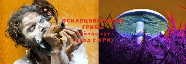 jwh Белокуриха