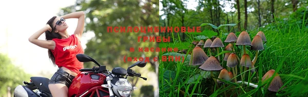 гидра Беломорск