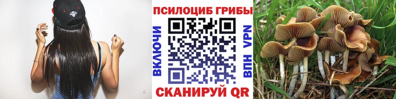 Галлюциногенные грибы ЛСД  ОМГ ОМГ маркетплейс  Кушва 